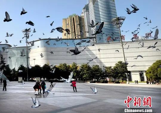 资料图。桂淑君 摄