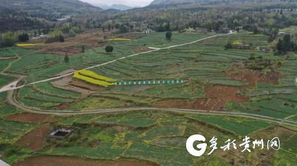 道真县洛龙镇五一坝区