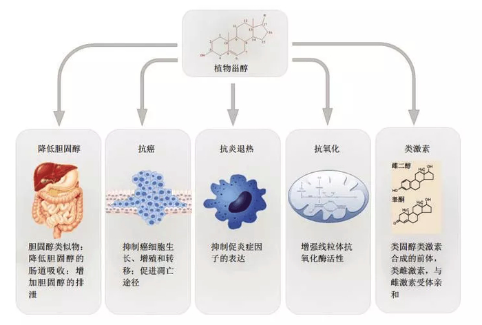 图片来源网络