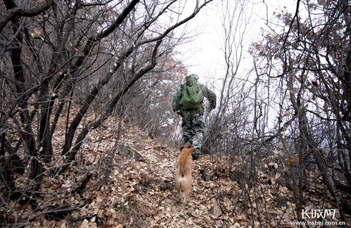 有生之年，刘宗林说会在这条长城保护的路上一直走下去。长城网记者 郑梦婷 摄