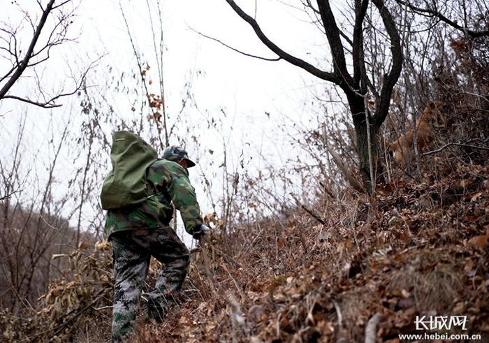 刘宗林一有时间就会上山巡护长城。长城网记者 闫玲 摄