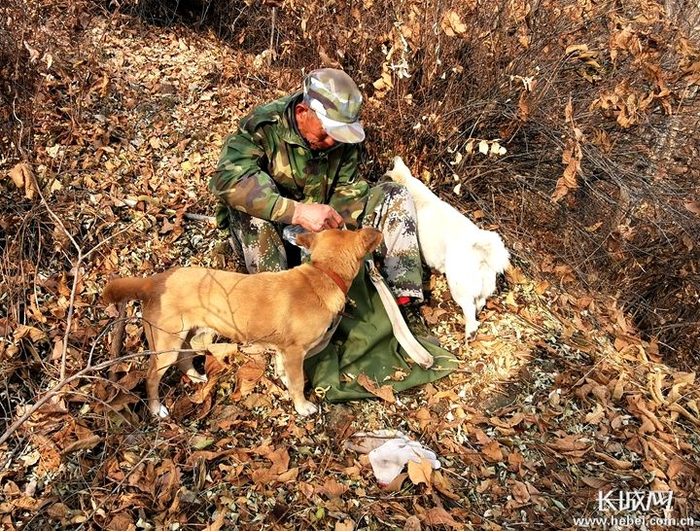 刘宗林和自己的两条狗。长城网记者 郑梦婷 摄