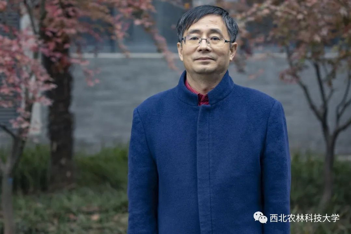 同色系穿搭是不会出错的