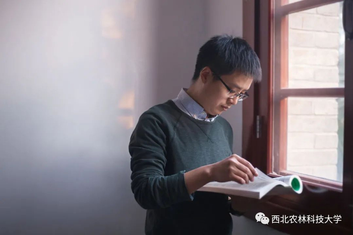 衬衫的细细条纹