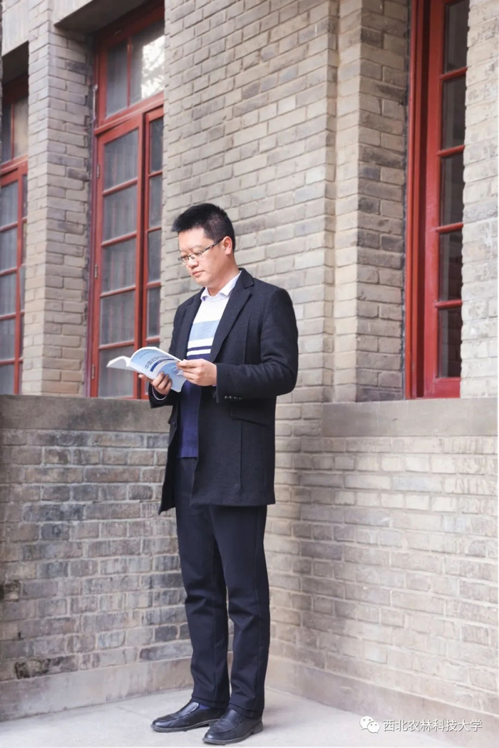政史书竟也有了拟人？