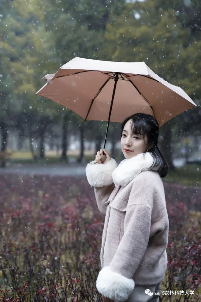 加速的心跳声，是雪落的鼓点