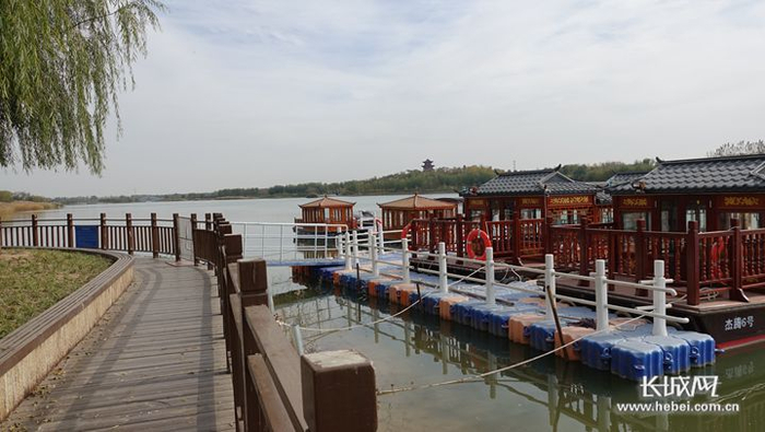 自然景观优美的阜城湖公园，是阜城县千顷洼森林公园的核心区域。长城网记者 吴新光 摄