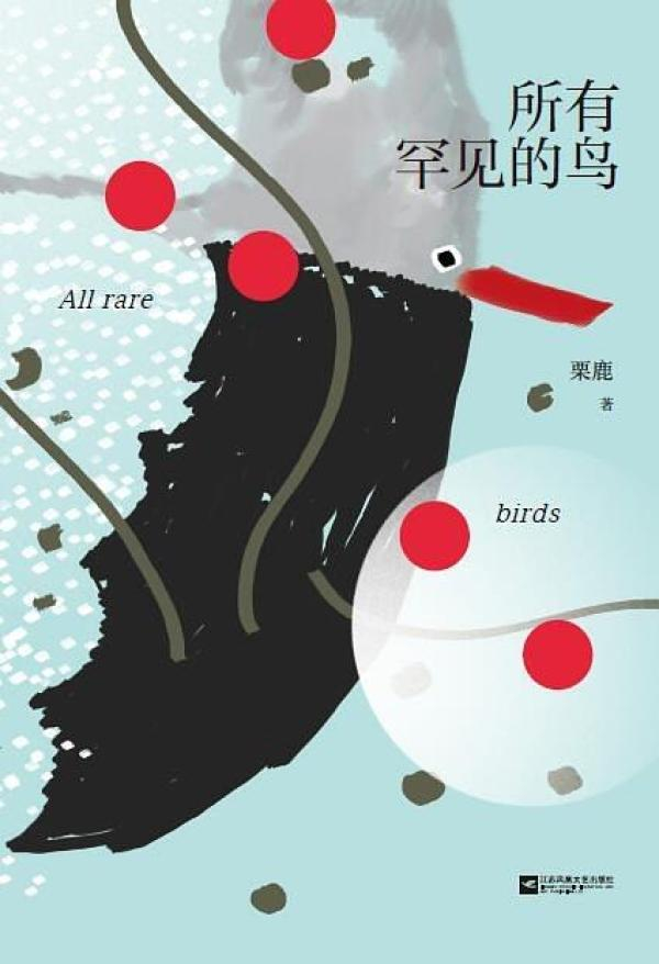 《所有罕见的鸟》