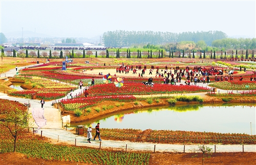  山东兰陵国家农业公园。 （资料图片）