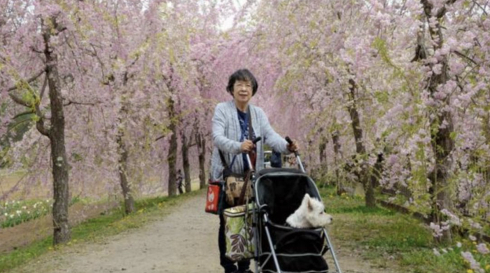 图：withnews