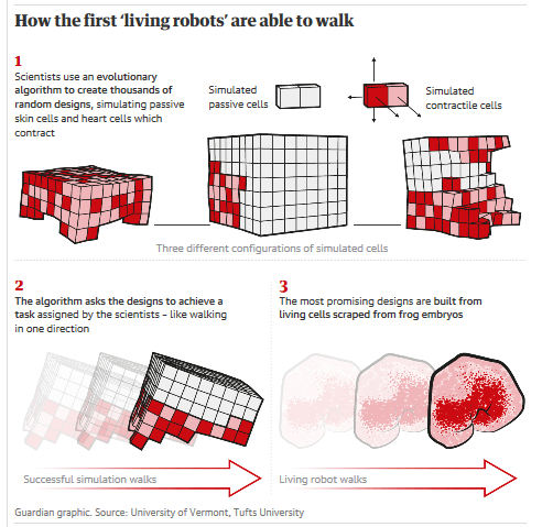  “异种机器人”示意图。来源：卫报