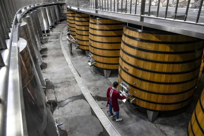 7月22日，宁夏银川市一家酒庄的葡萄酒酿造车间。图/新华社