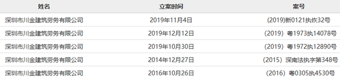 （被执行摘要，数据来源：中国执行信息公开网）