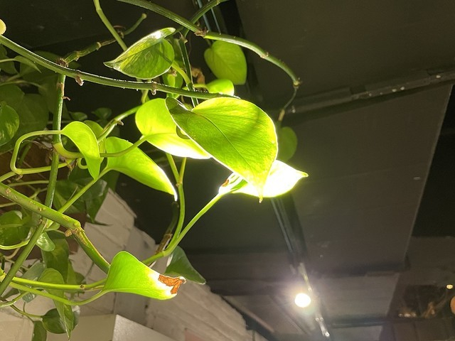 iPhone 12 Pro拍摄