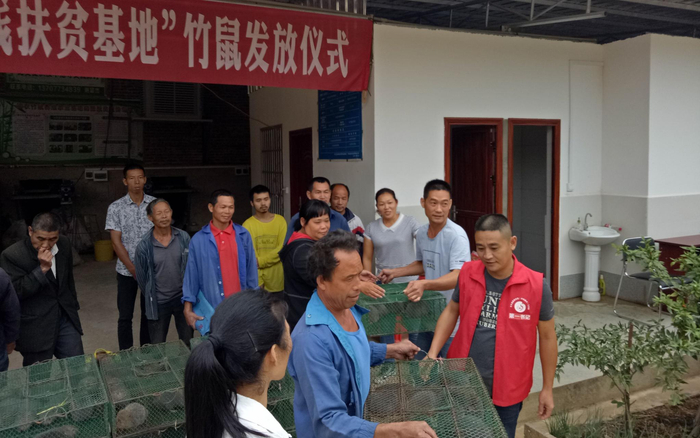 为养殖户发放竹鼠。受访者供图