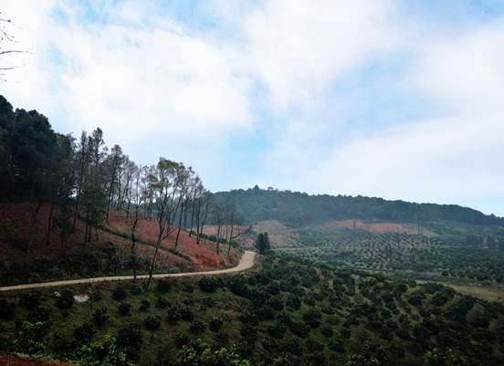 （新宁沉水村的环线通组路。）