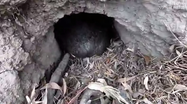 图源：每日邮报