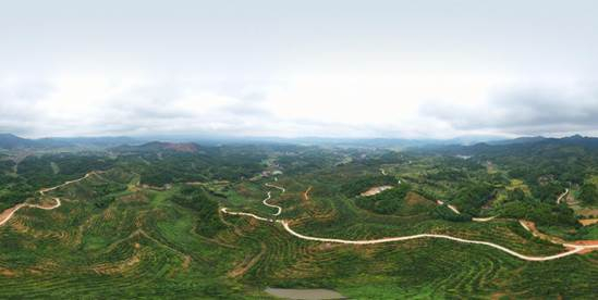 （邵东市灵官殿镇的通组公路。）