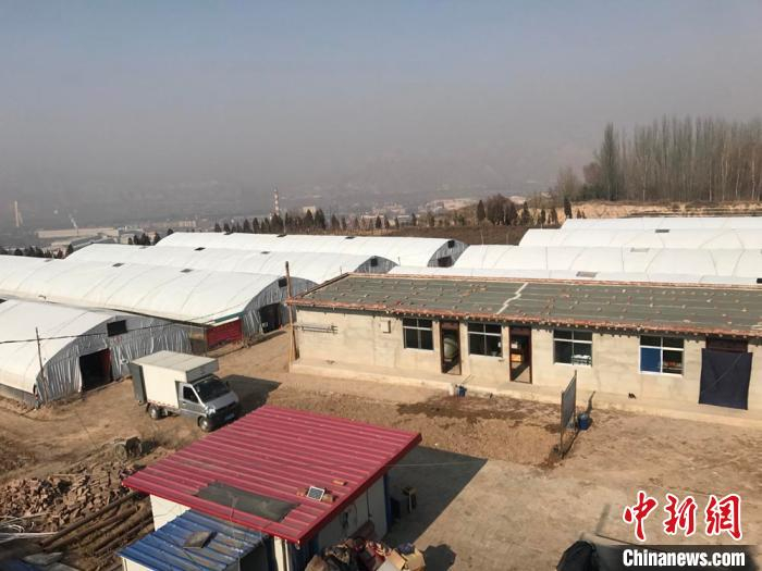 图为青石台村引进的蘑菇种植基地。(资料图)受访者供图