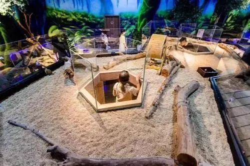 图片来源：网易