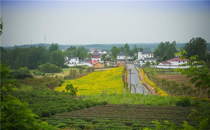 浦口区星甸街道九华村山滕组。浦口区星甸街道供图