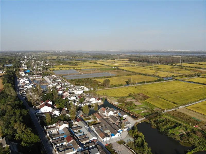 浦口区桥林街道林蒲社区江坂组。浦口区桥林街道供图