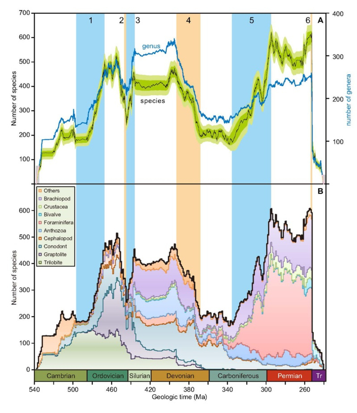 古生代海洋生物多样性演变曲线