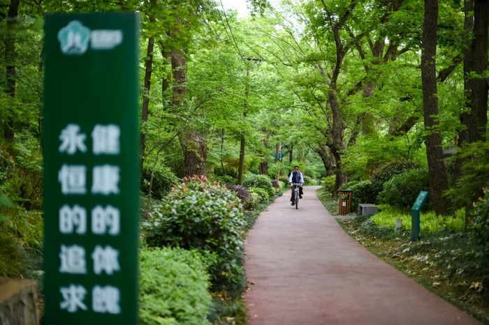 市民在环紫金山绿道上骑行。南报融媒体记者 段仁虎 摄