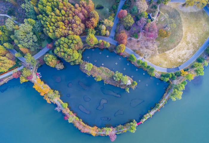 图片来源：视觉中国