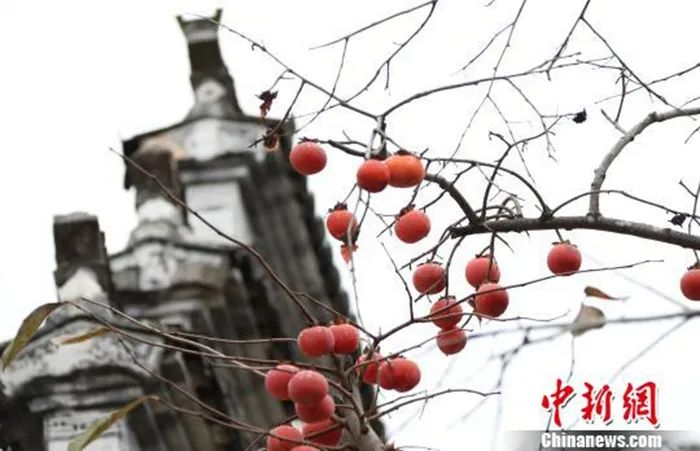 刘占昆　摄