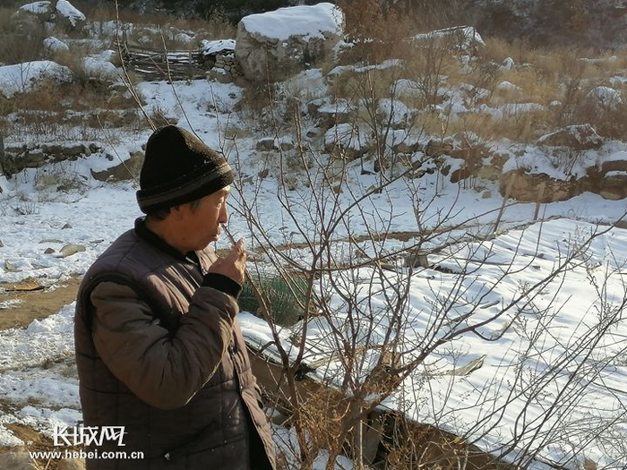 　　孙振泽在眺望自家的黑猪。长城新媒体记者 万前进 摄