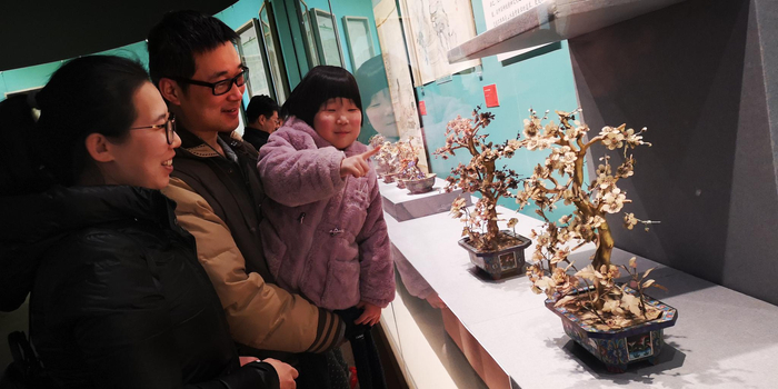 游客参观清代盆景文化展。新京报记者 侯少卿 摄