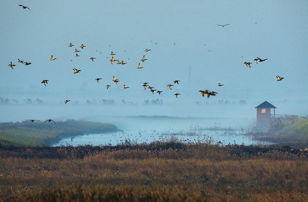 “馆藏上海风貌摄影作品展”展出作品