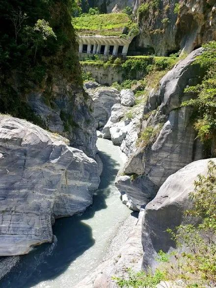 （图片来源▲树懒跑者）