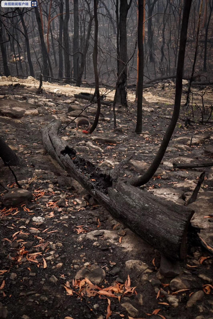 △蓝山世界遗产受灾后