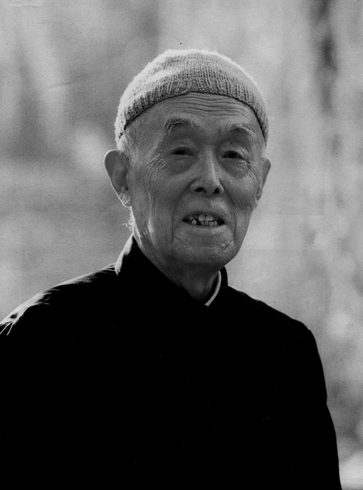 季羡林。华中科技大学出版社供图