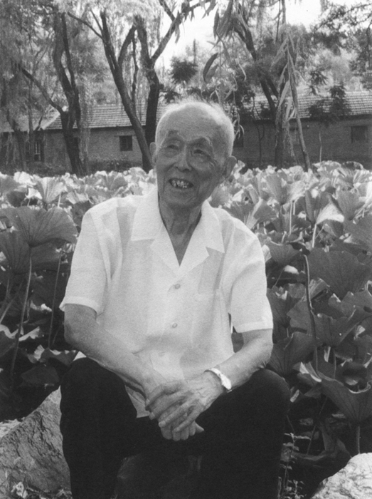 季羡林。华中科技大学出版社供图