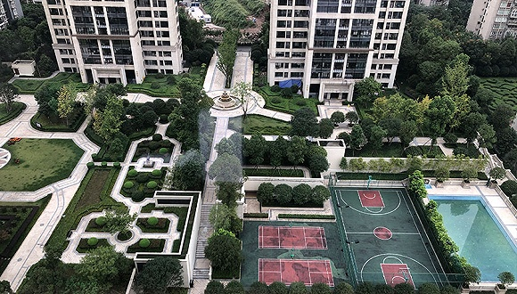 图片来源：王苏婵/摄