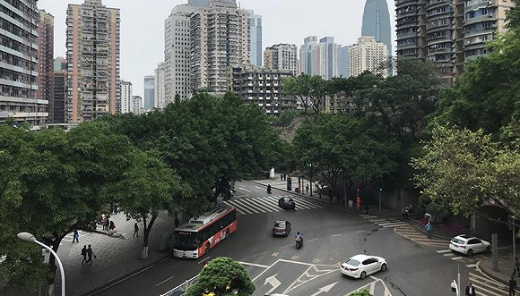 图片来源：王苏婵/摄