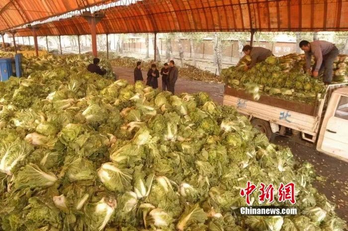 资料图 刘洋 摄