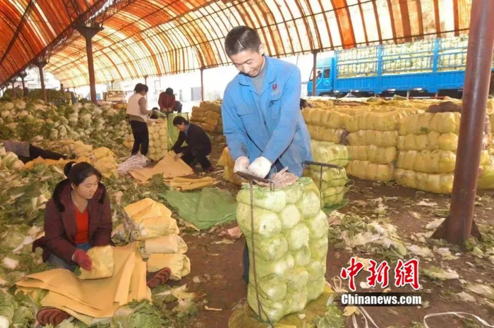 资料图 刘洋 摄