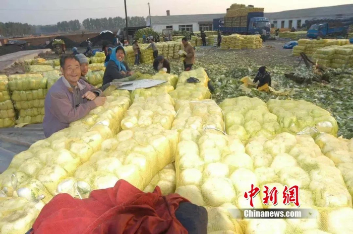资料图 刘洋 摄