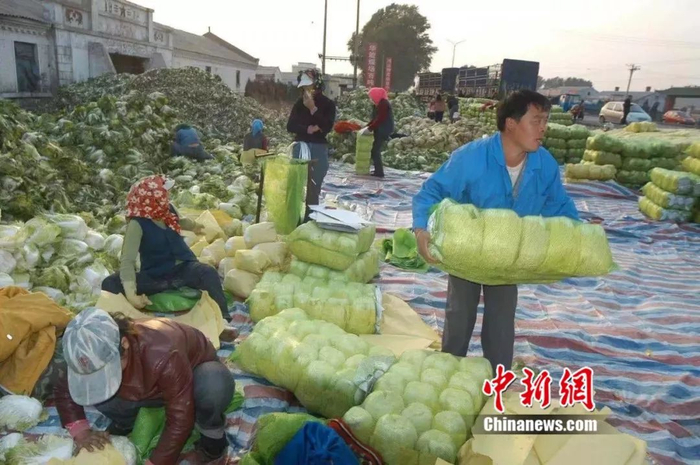 资料图 刘洋 摄