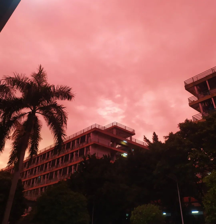 图| 刷屏朋友圈的粉红色天空