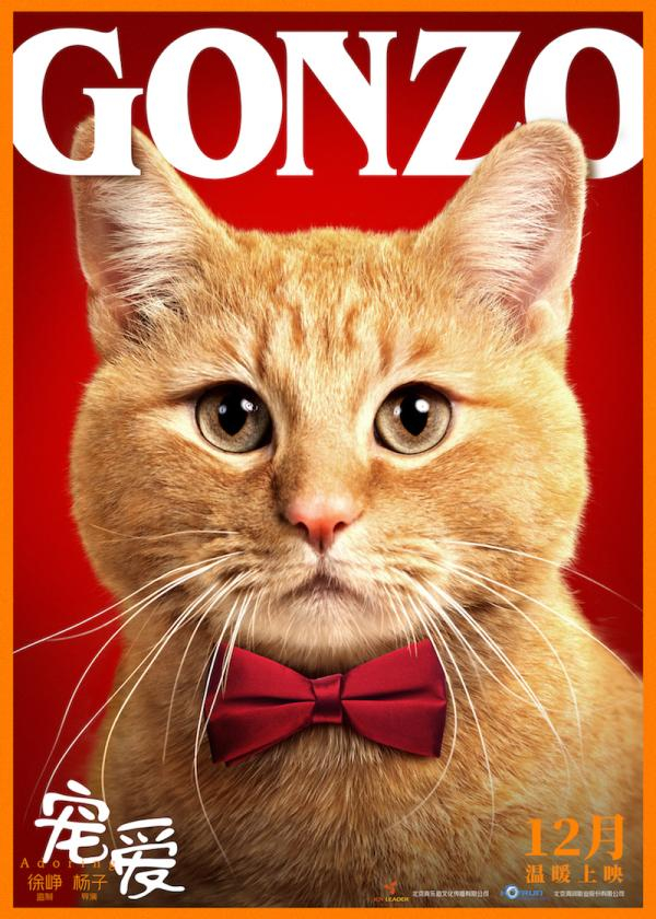 GONZO在《宠爱》中饰演呼噜
