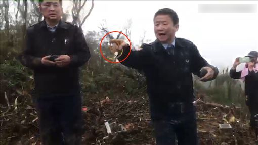 关键哨音来自曹进平手上拿着的银色哨子。 图片来源：台媒