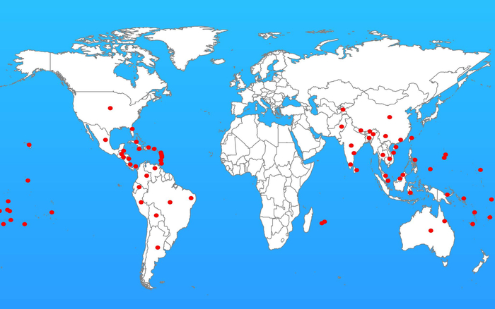 薇甘菊全球分布图。受访者供图