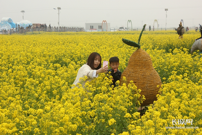 安平油菜花节吸引了八方游客。  郑建卫 摄