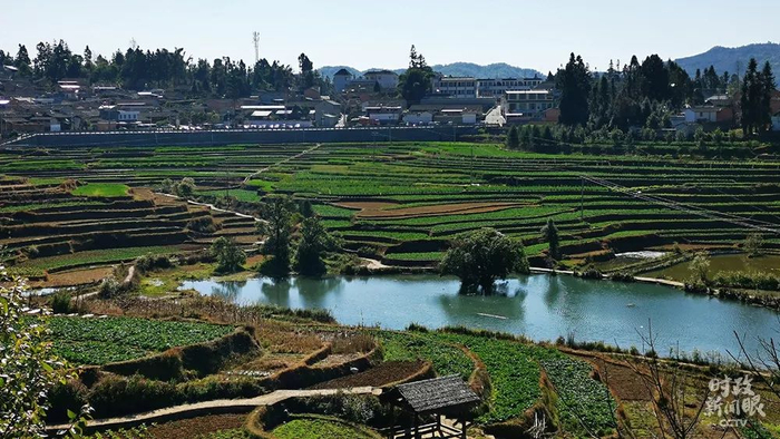 　　△从司莫拉佤族村远眺，田园在望。司莫拉，佤语是“幸福的地方”。这是一个有500多年历史的少数民族特色村寨。（总台央视记者张晓鹏拍摄）