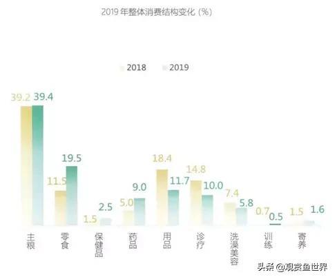 宠物医院真的是暴利？揭秘行业30年的潜规则